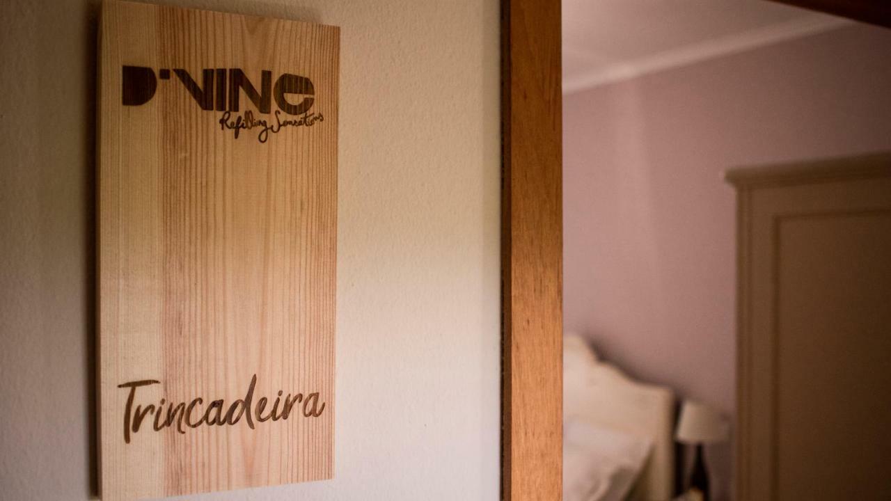 D'Vine - Country House Карташу Экстерьер фото